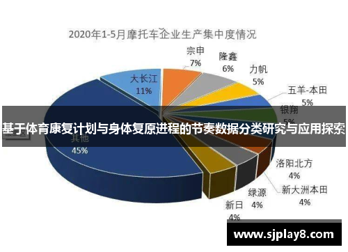 基于体育康复计划与身体复原进程的节奏数据分类研究与应用探索